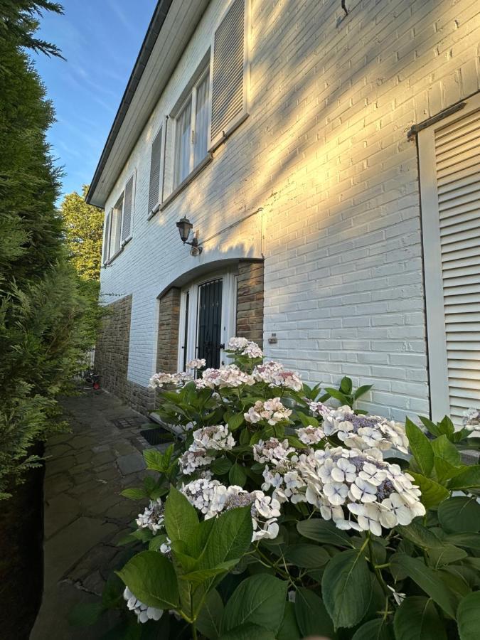 House Of Tanya Bed & Breakfast Brüksel Dış mekan fotoğraf